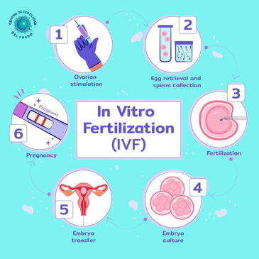 Slider image (3) Baja Fertility Services - IVF Clinic Tijuana Mexico